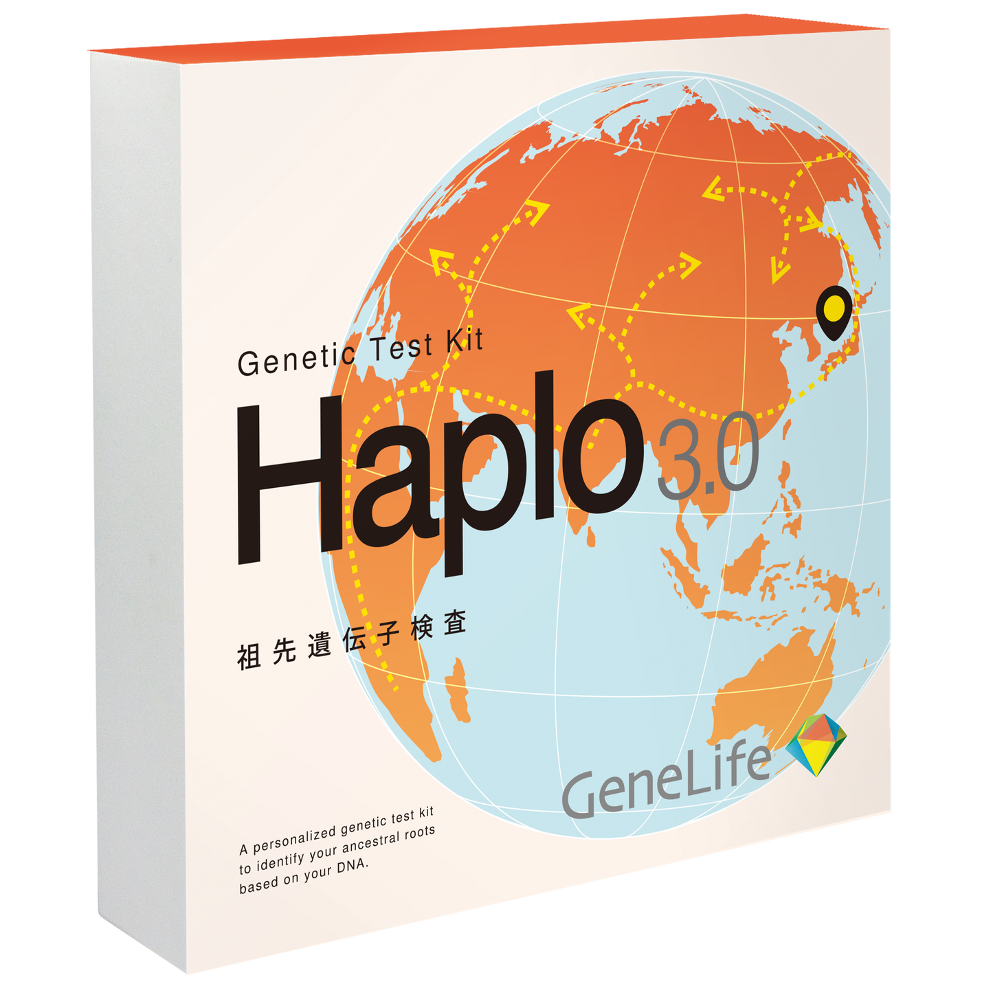 haplo3 祖先遺伝子検査　ルーツ