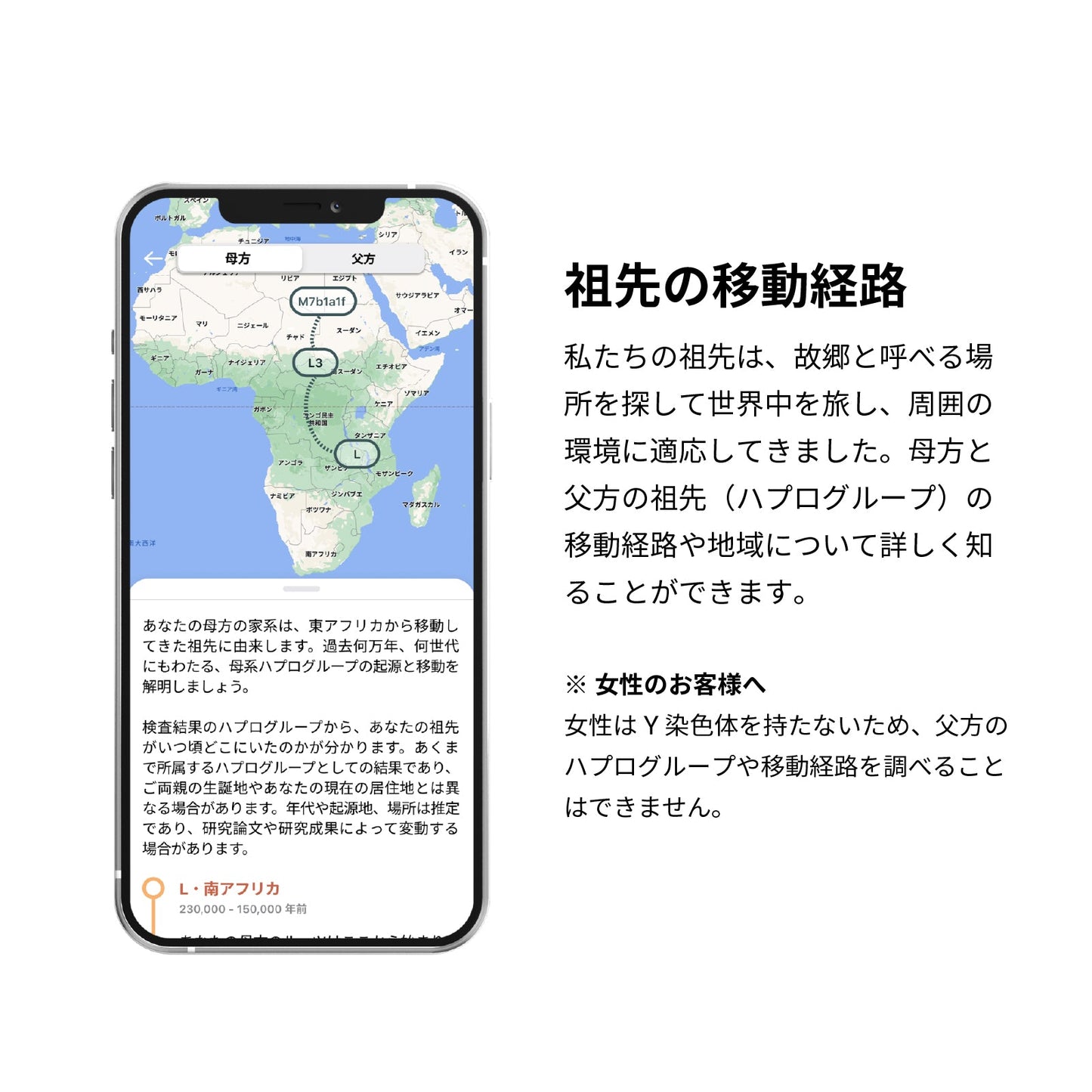 祖先 遺伝子検査キット Haplo3.0 (取引先限定)