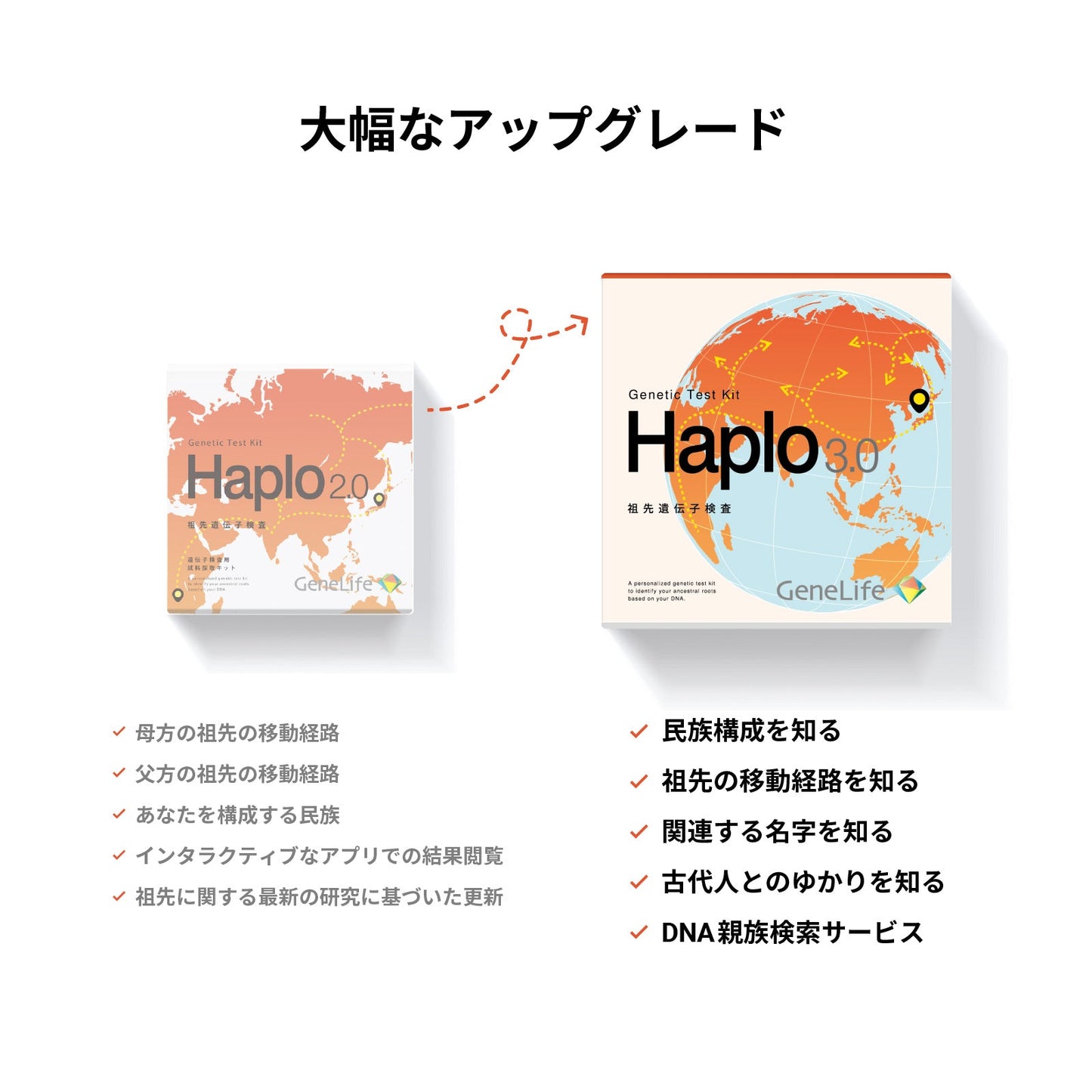 祖先 遺伝子検査キット Haplo3.0 (取引先限定)
